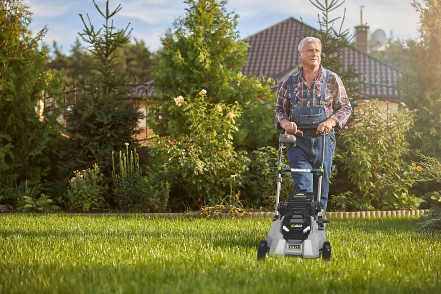 cordless electric lawnmower